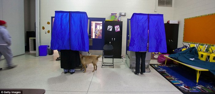 Một phụ nữ ở Philadelphia, Pennsylvania mang theo chú chó của mình đến điểm bỏ phiếu.